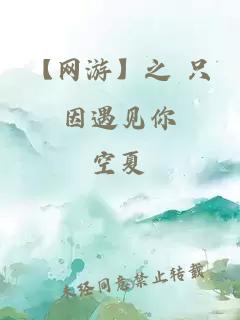 【网游】之 只因遇见你